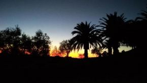 Agriturismo Il Poderino Tarquinia